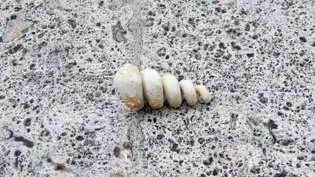 İstanbul'un o ilçesinin zemininin zayıf olduğunun en somut göstergesi! Prof. Dr. Şener Üşümezsoy'dan korkutan uyarı 11